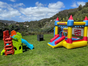 Casa de arbol con tobogan mas castillo