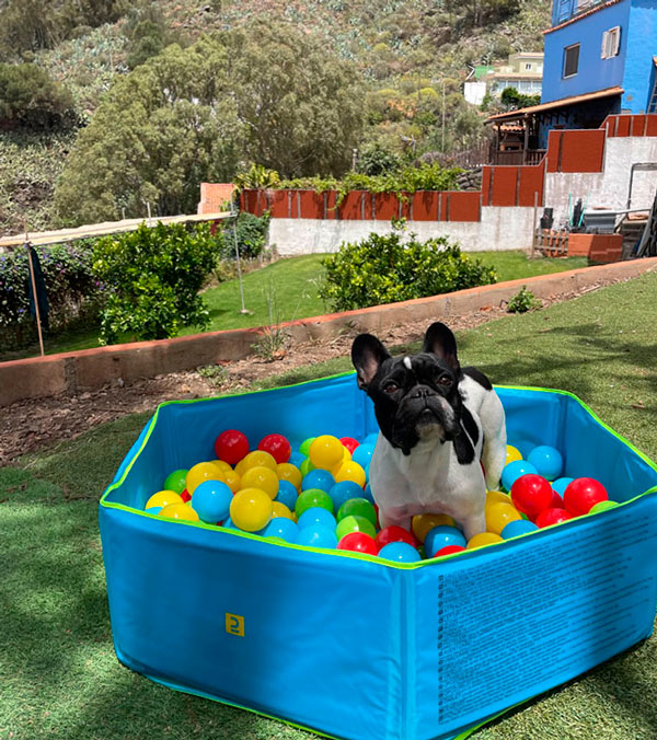 Piscina para bebés con bolas sensoriales